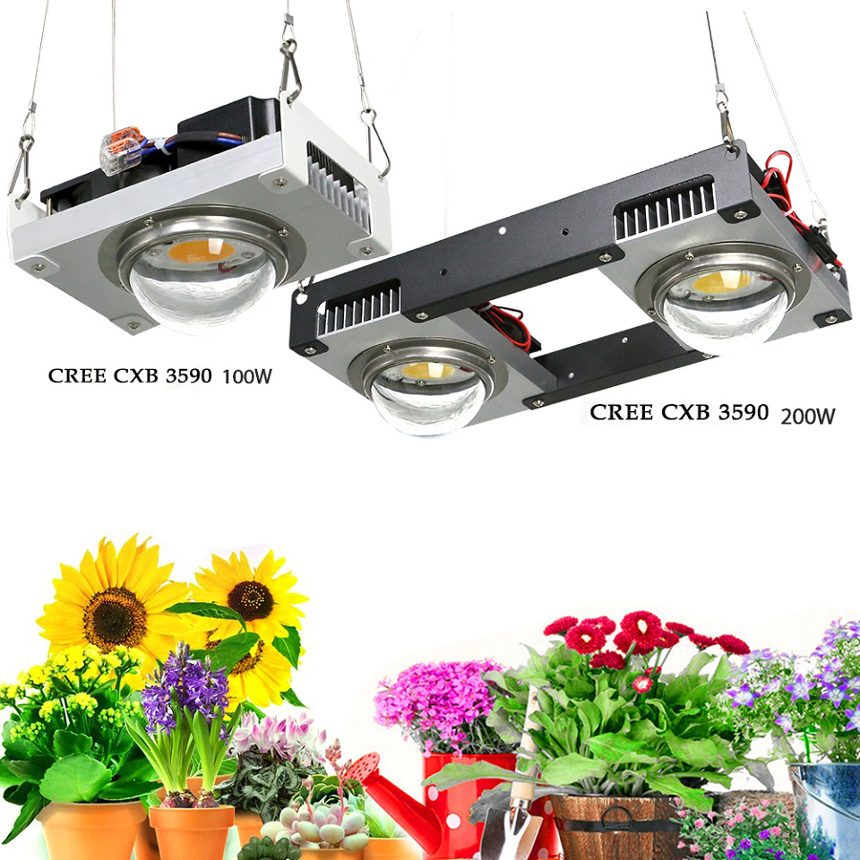CXB3590 COB LED 성장 빛 전체 스펙트럼 100W 200W 300W 400W LED 식물 실내 텐트 온실에 대 한 램프를 성장 수경 식물